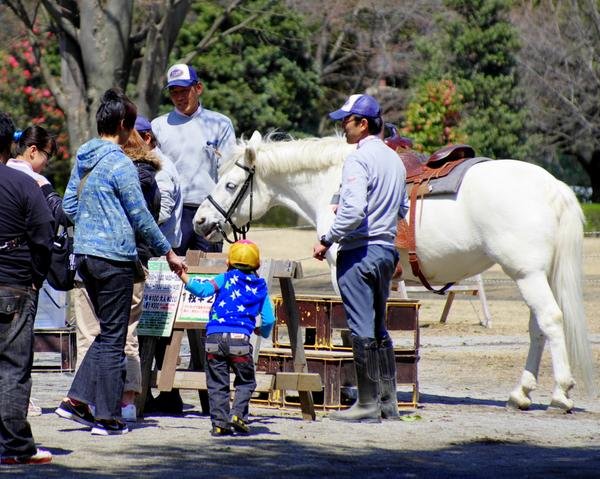 🌳 배꼽 공원(네이블 파크) 이미지 4